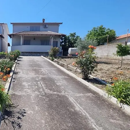 Vvg Koxhazi